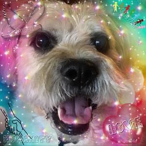 Meet your Posher, Lynn